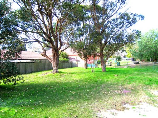 Sunny Level Land Picture 1