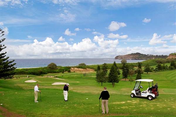 Sunny Level Land Picture 2