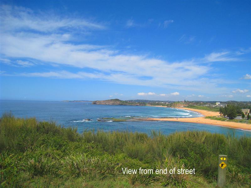 Golden Opportunity Picture 2