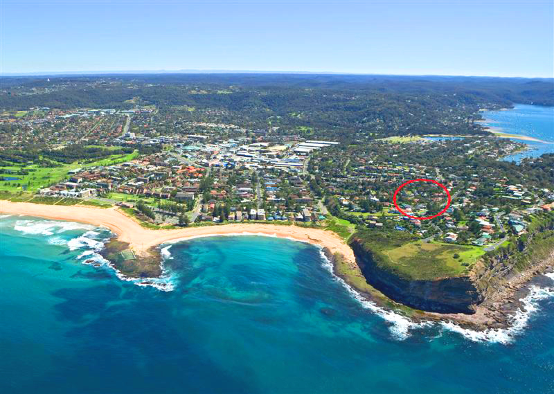 Golden Opportunity Picture 1