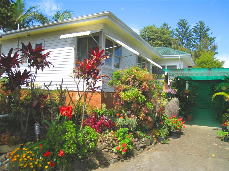 Golden Opportunity Picture 3