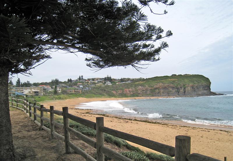 Surfers Paradise Picture 3