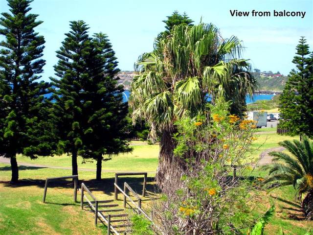 First Home Buyer Special! Picture 3