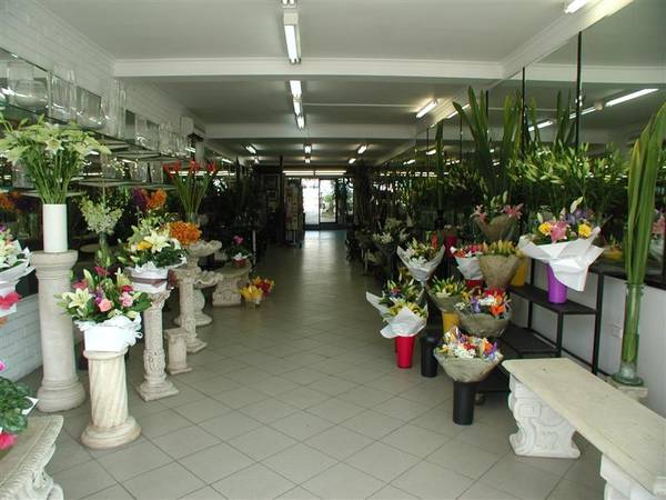 PRICE REDUCTION Picture 2