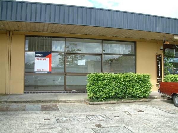 RETAIL SHOP IN TERREY HILLS Picture 3