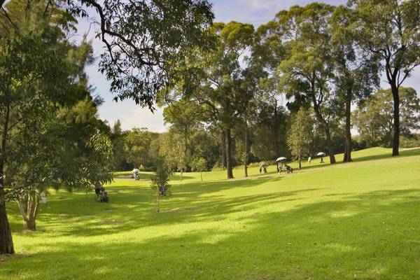 Affordable Single Level Home Picture 2