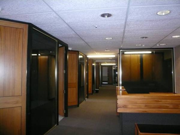 FEATHERSTON STREET 371 sqm Picture FEATHERSTON STREET 371 sqm Picture