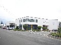 WELL- LOCATED AND WELL- LEASED LOWER HUTT INVESTMENT BUILDING WITH PARKING. YIELD 8% NETT ON PRICE $2,500,000 INCREASING Picture