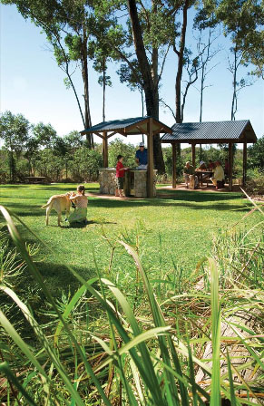 Peregian Springs Dream Allotments Picture 3