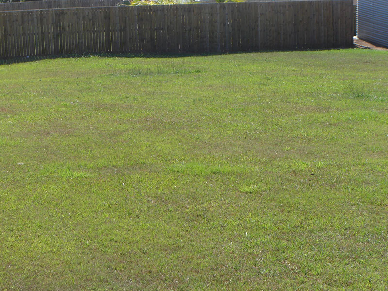 A Town Block High on the Hill with Amazing Views Picture 3