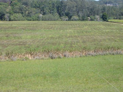 Rural Acreage with River Frontage Picture