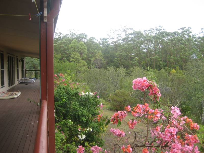 Lovely Four Bedroom Home on Private Acreage Picture 3