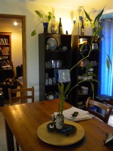 ACREAGE HOME -
Cooran Picture