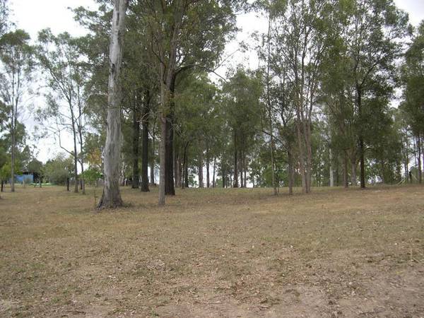 A Home Among The Gum Trees Picture 2