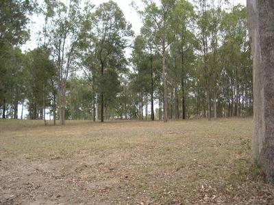 A Home Among The Gum Trees Picture A Home Among The Gum Trees Picture