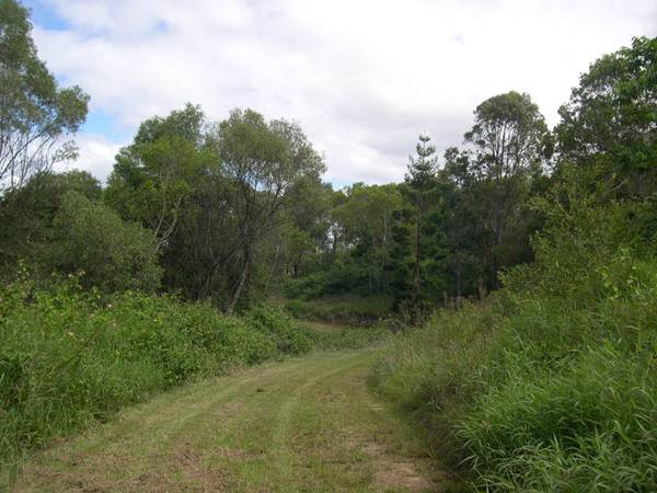 Elevated Acreage Close to Cooroy Picture 1