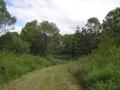 Elevated Acreage Close to Cooroy Picture