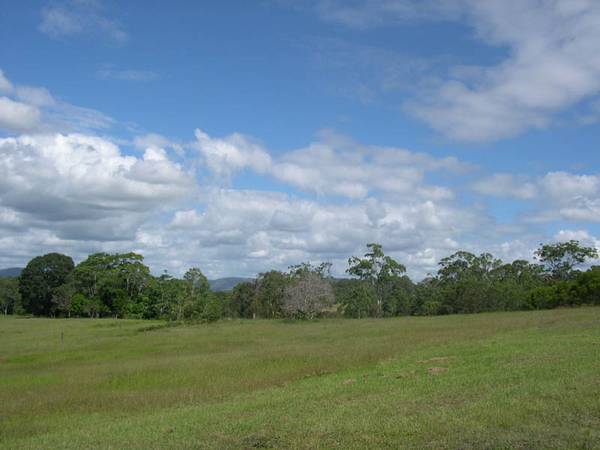 Elevated Acreage Close to Cooroy Picture 2