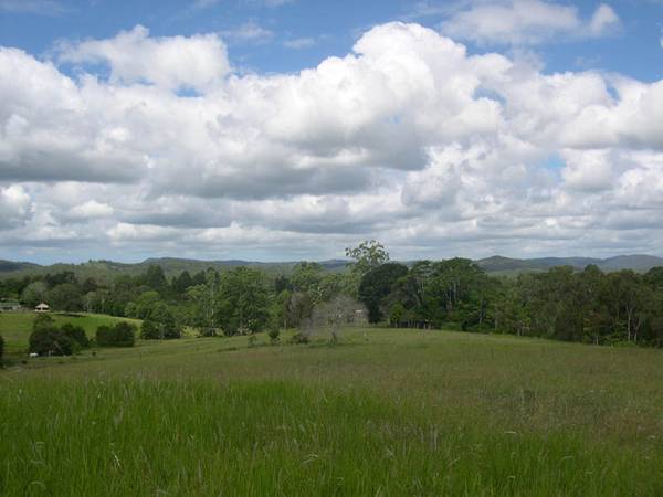 Elevated Acreage Close to Cooroy Picture 3