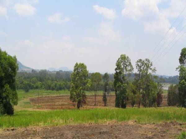 HOME ON 30 ACRES ON LAKE MACDONALD Picture 2