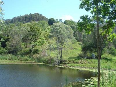 168 Acres 10 Minutes to Cooroy Picture