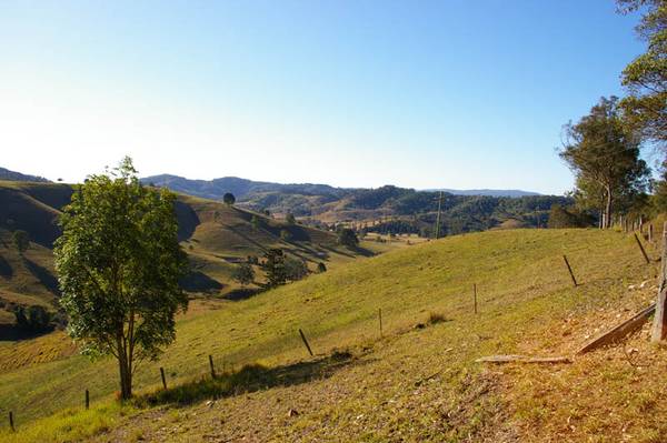 168 Acres 10 Minutes to Cooroy Picture 2