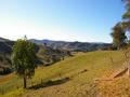 168 Acres 10 Minutes to Cooroy Picture