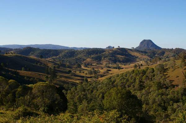 168 Acres 10 Minutes to Cooroy Picture 3