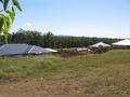 Land with Views in Cooroy Picture