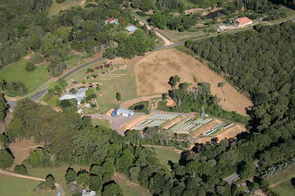 Live and Work in Paradise Picture 2