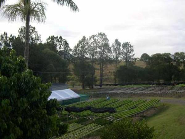 Live and Work in Paradise! Picture 2