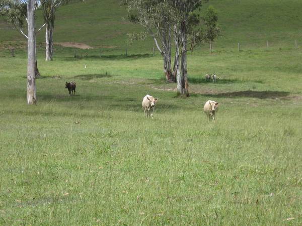 Magnificent 18 Acre Property Picture 3