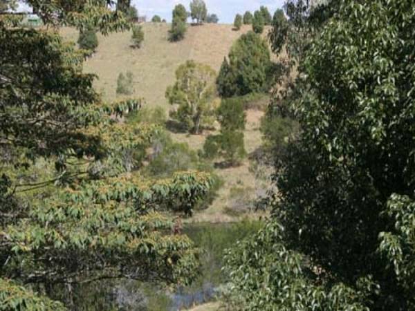 Rustic-Private-Acreage Picture 1