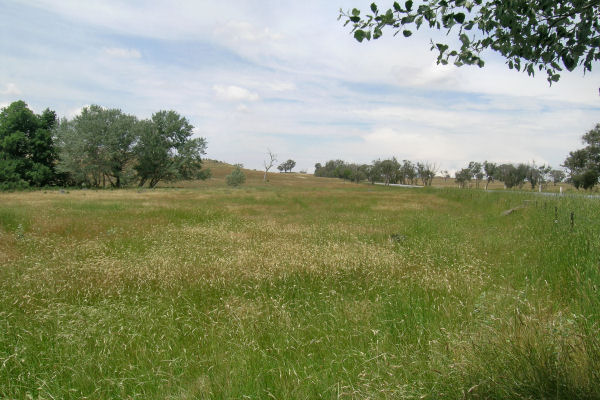 RIVER FRONTAGE! Picture 2