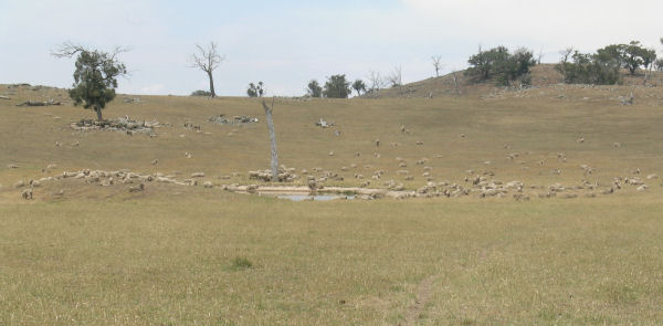 RIVER FRONTAGE! Picture 3