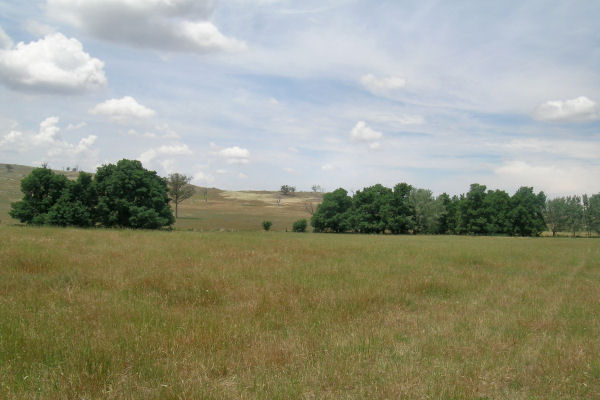 RIVER FRONTAGE! Picture 1