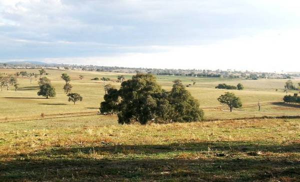 NEW SUB-DIVISION Picture 2