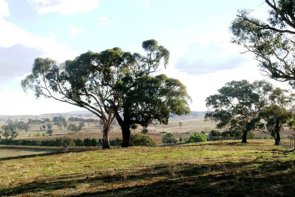 NEW SUB-DIVISION Picture 3