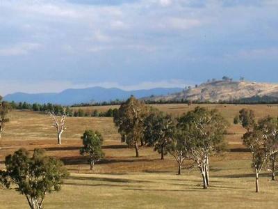 NEW SUB-DIVISION Picture NEW SUB-DIVISION Picture