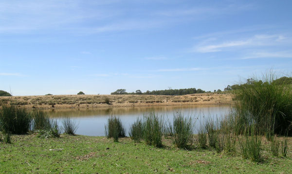 BUSH RETREAT Picture 2