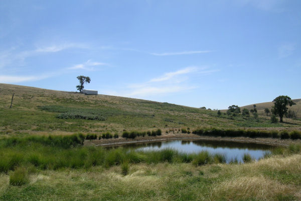 BUSH RETREAT Picture 1