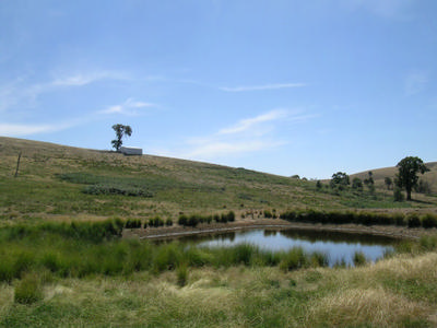 BUSH RETREAT Picture