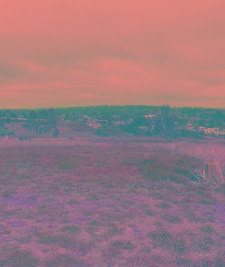 Views, Views, Views Picture