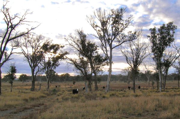 BLUE RIBBON LOCATION!!! Picture 3