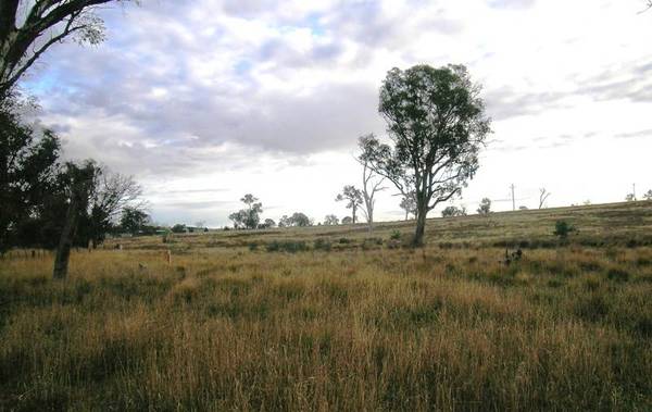 BLUE RIBBON LOCATION!!! Picture 1