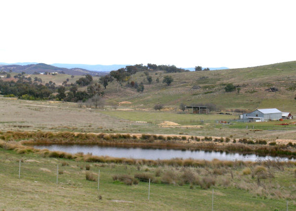 YOUR OWN HOBBY FARM! Picture 2