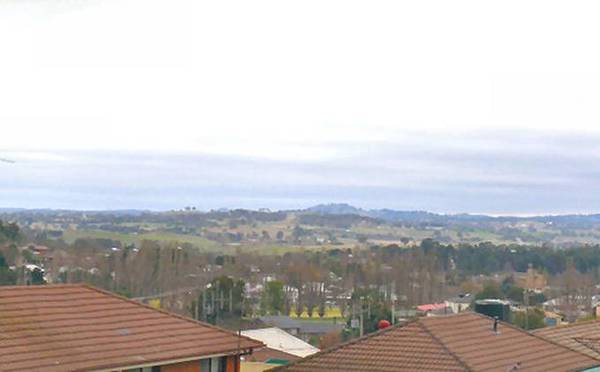 A Little Beauty! Picture