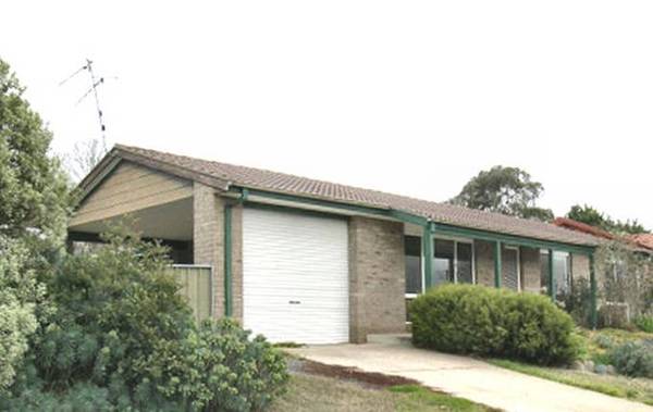 A Little Beauty! Picture