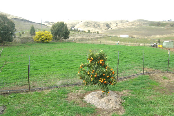 YOUR RETREAT FROM THE WORLD! Picture 2