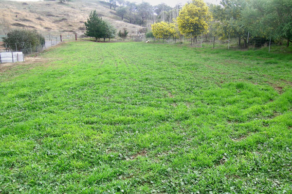 YOUR RETREAT FROM THE WORLD! Picture 3